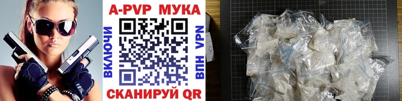 A PVP СК  Кириши 