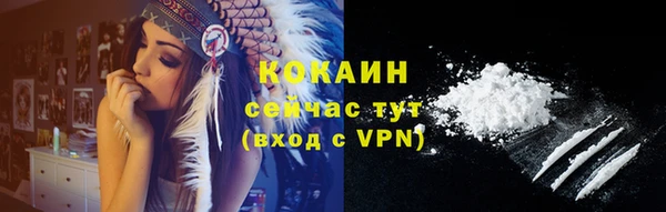 шишки Балахна