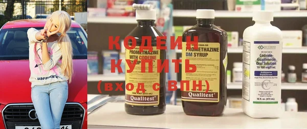 шишки Балахна