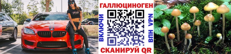Псилоцибиновые грибы Magic Shrooms Кириши